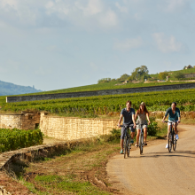 Voie des Vignes , fiets & wandelbeurs